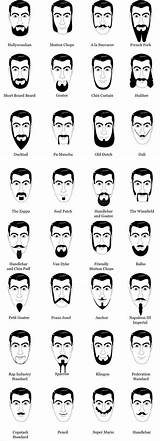 Beard Hair Types Mustache Facial Beards Styles Barba Thread Mustaches Soul Patch Short Style Men Colors Moustache sketch template