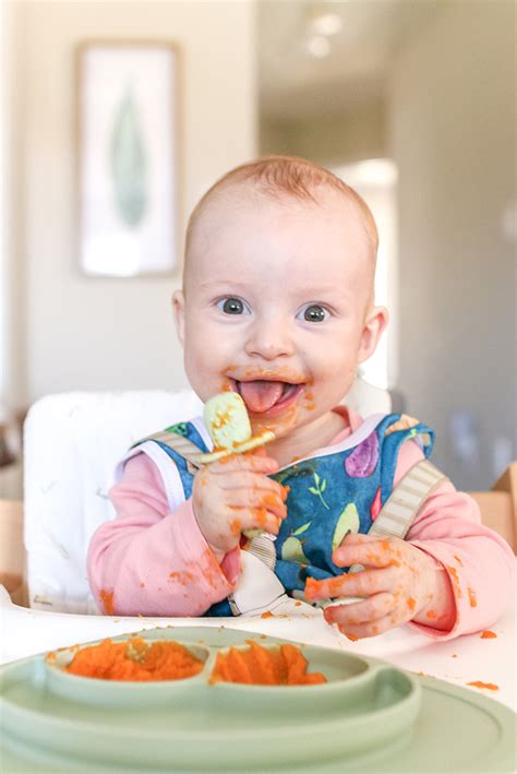 baby food resources ive  loving healthnut nutrition