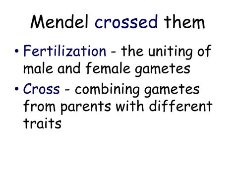 Ppt Meiosis And Mendel Powerpoint Presentation Free Download Id