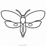 Polilla Moth Coloringhome sketch template