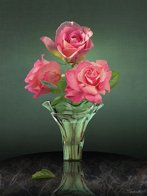 Pink Roses In Glass Vase By M Spadecaller Glass Vase Vase Pink Roses