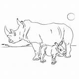 Neushoorns Neushoorn Jong sketch template