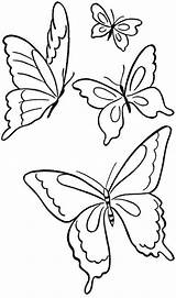 Pages Coloring Printable Butterfly Four sketch template