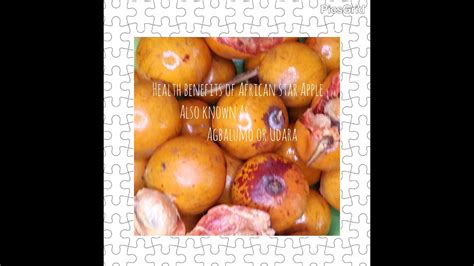 health benefits of africa star apple also known as agbalumo or udara