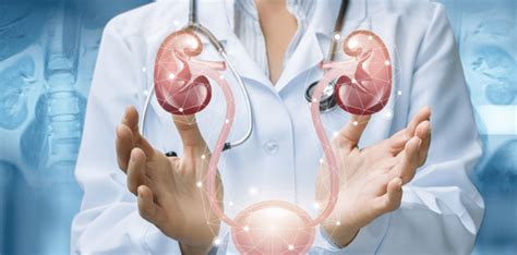 Urology Specialist In Udaipur Urology Hospital Udaipur