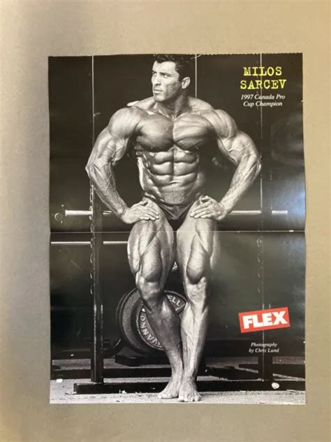 musclemag bodybuilding muscle large display poster milos sarcev  picclick uk