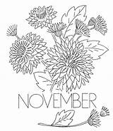 November Coloring Flower Chrysanthemum Pages Month Printable Henkes Kevin Book Vintage Print Color Getcolorings Transfers Kids Advertisement Qisforquilter sketch template