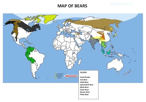 polar bears  map