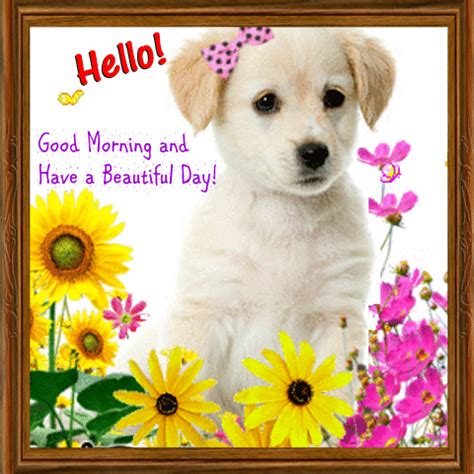 good morning    beautiful day cute puppy good day myniceprofilecom