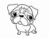 Pug Coloring Pages Cute Adult Para Colorear Pugs Printable Color Kids Dog Coloringcrew Print Dogs Getcolorings Dibujo Book Con sketch template