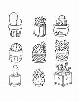 Cacti sketch template
