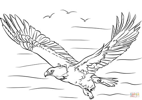 bald eagle  wings spread coloring page  printable coloring pages