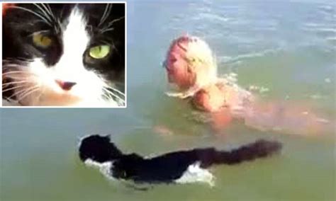 Video Of A Cat Swimming In The Sea Goes Viral Daily Mail Online