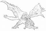 Pages Dragon Wyvern Coloring Template sketch template