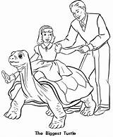Zoo Coloring Pages Turtle Exhibit Animal Animals Kids Color Popular Print Designlooter Library Clipart Honkingdonkey Fun Coloringhome Line sketch template