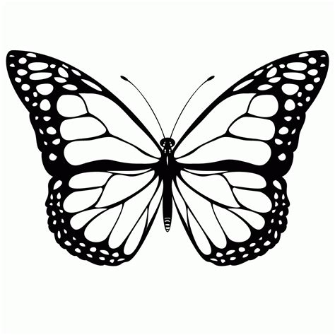 printables butterfly template coloring home