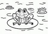 Frogs K5 Worksheets sketch template