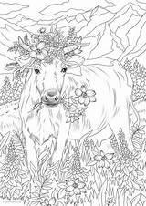 Cow Flowers Coloring Pages Adult Printable Adults Favoreads Book Flower Colouring Sheets Animal Spring Horse Drawing Club Sold Etsy Kids sketch template