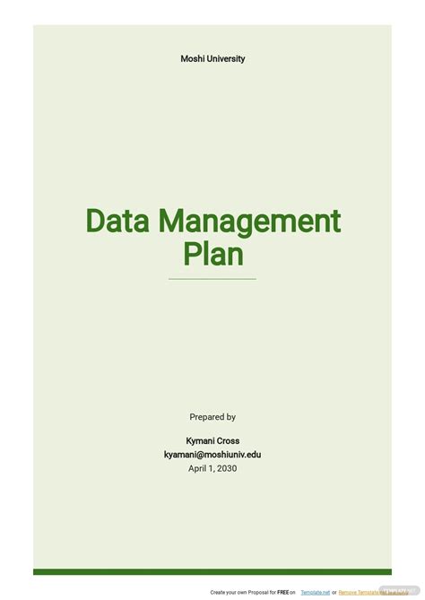 data management strategy template