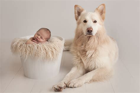 newborn baby  dog photography guide  fotografy