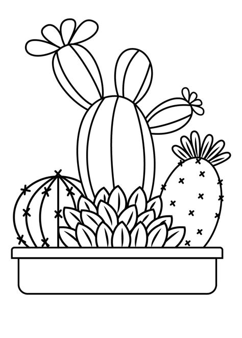 kolorowanka kaktus doniczkowy pobierz wydrukuj lub pokoloruj