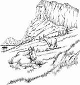 Coloring Pages Landscape Goats Mountain Printable Goat Adult Adults Rocky Mountains Realistic Detailed Coloring4free Two Color Scenery Animal Landscapes Only sketch template