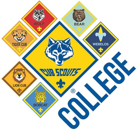 cub scout college