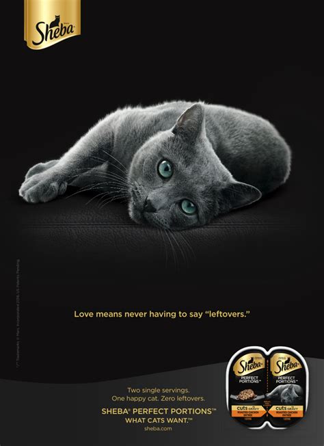 not even sex can get in the way of people s love for cats says this sheba ad adweek
