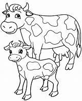 Cow Coloring Cows Color Kids Sheet Two Adult Young Animals Portrait sketch template