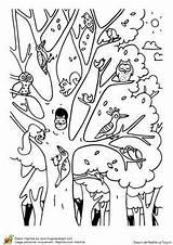 Omalovánky Mandaly Doodly Lesy černobílý Animais Houby sketch template