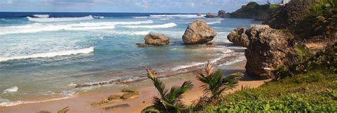 barbados beaches tranquil shores to lively waves