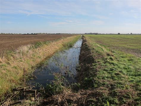 ditches freshwater habitats trust