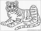 Harimau Mewarnai Kartun Animasi Mewarnaigambar Colouring Lengkap Getcolorings Besar sketch template
