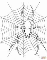 Spider Coloring Web Pages Drawing Its Kids Halloween Spiders Printable Webs Color Colouring Template Print Getdrawings Nature Paper sketch template