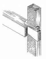 Mortise Tenon Blind Dovetail Joint sketch template