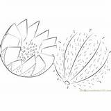 Cantaloupe Connect Melons sketch template
