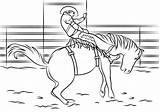 Rodeo Bronc Saddle Bull Pbr Justcoloringbook Drukuj sketch template