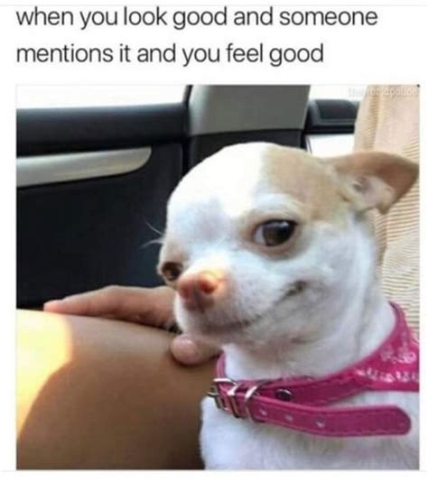 101 smile memes to make your day even brighter