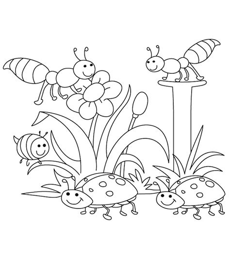 season  weather coloring pages momjunction