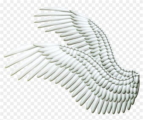 angel wings angel wings side view  transparent png clipart
