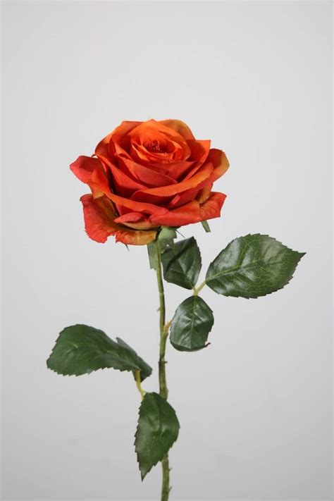 roos oranje rood  cm kunstbloemen en zijden bloemen webshop
