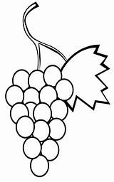 Weintraube Uvas Grapes Grape Racimo Malvorlagen sketch template