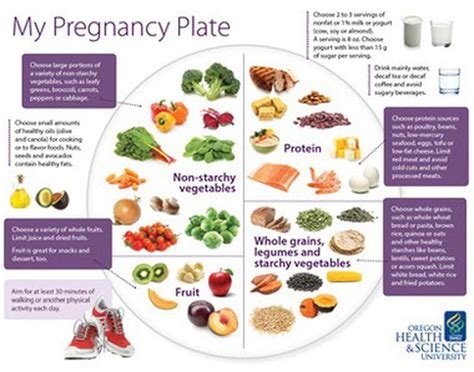 My Pregnancy Plate Helps Moms To Be With Nutrition