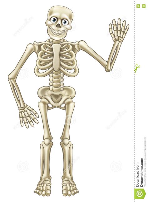 vector cartoon halloween skeletons cartoon vector
