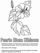 Puerto Rico Coloring Pages Hibiscus Flower Hawaiian Maga Flor Drawing Printable State Worksheets Drawings Kidzone Rican Yellow Print Kids Flowers sketch template