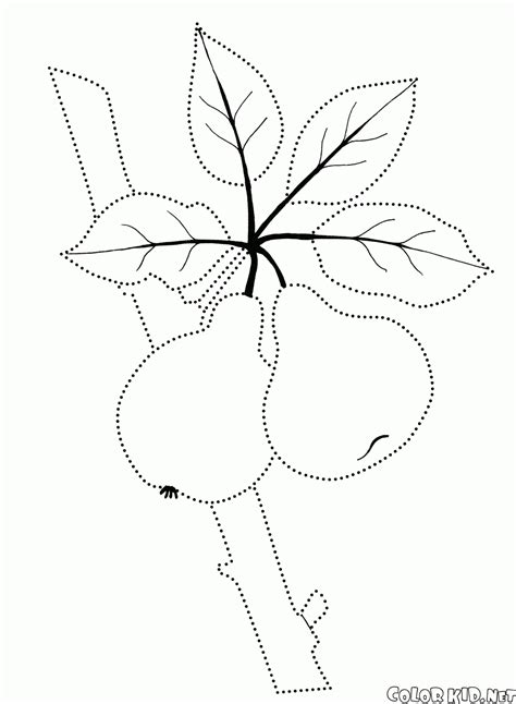 coloring page fruits