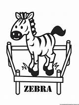 Zebra Coloring Pages Baby Print Outline Drawing Kids Printable Color Cute Animal Zipper Realistic Zoo Girls Mammals Cliparts Sheets Boys sketch template