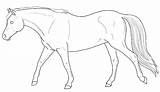 Pony Welsh Lineart Deviantart sketch template