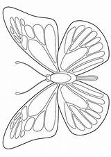 Morpho Momjunction Mariposas Borboleta Drawing Colorir Outline Borboletas Colorear24 Acessar sketch template