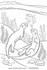 Otter Coloring Pages Baby Getdrawings sketch template